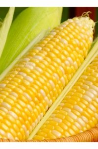Насіння кукурудзи цукрової Мореланд GSS 1453 F1, суперсолодка SYN01NAS160 фото